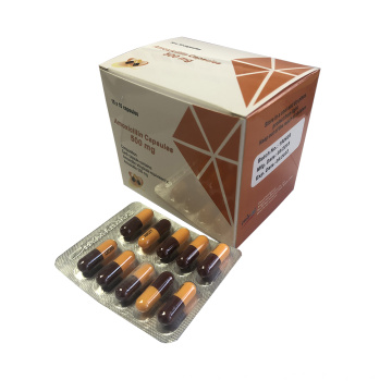 Amoxicilina GMP 500 mg por cápsula